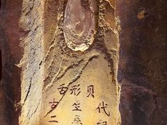 -嘉荫恐龙国家地质公园