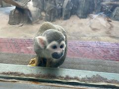 -鄂尔多斯野生动物园