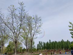 -东郊湿地公园