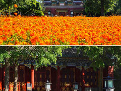 -北海公园