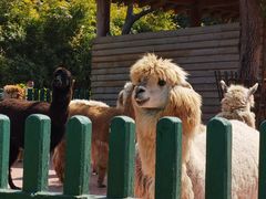 -无锡动物园·太湖欢乐园