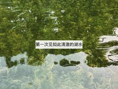 -荔湾湖公园