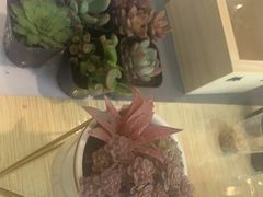 -北京盈之宝宝马4S店(望京店)