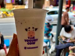 -一只酸奶牛(春熙路店)