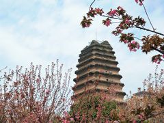 -西安博物院