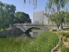 -大兴滨河森林公园