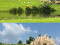 -上海辰山植物园
