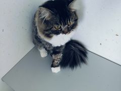 -大悦城(沈阳中街店)