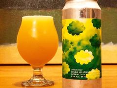 -ZING鲸鱼啤酒(葡萄院店)