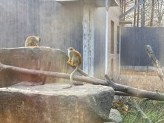-上方山森林动物世界