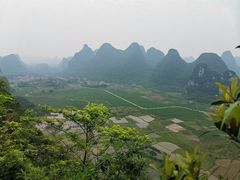 -会仙湿地