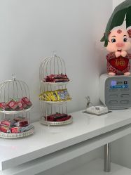 -贞禾医美·连锁