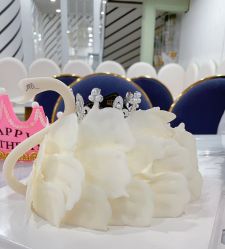 -宝燕乐园(春申店)