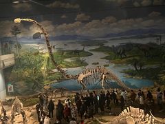 -自贡恐龙博物馆