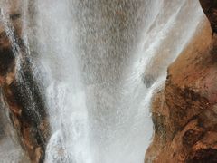 -金鸡山公园