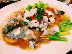 -猪肉婆私房菜(容桂总店)