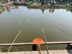 -同銮特种养殖场·龙虾垂钓