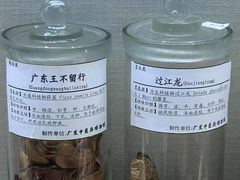 -广东中医药博物馆