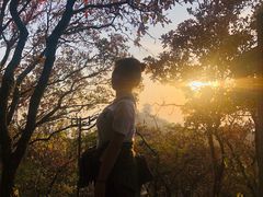 -杭州半山国家森林公园