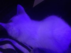 -星宿秘码(鼓浪屿老店)