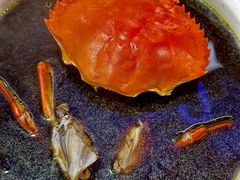 -东江海鲜大排档·潮汕菜·砂锅粥