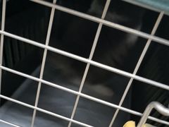 -瑞派宠物医院·24h·骨外科·皮肤科·全科宠物医疗转诊中心(沈阳浑南院)
