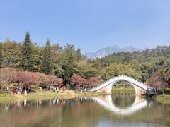-田野绿世界