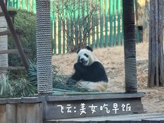 -大连森林动物园