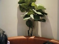 -必胜客(东茅岭店)