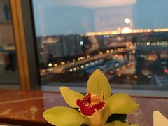 -上海新发展亚太JW万豪酒店