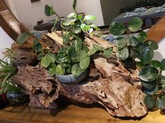 -茶油香闽南菜·花园餐厅(前埔店)