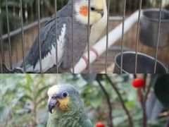 -南宫五洲植物乐园