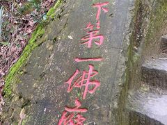 -大金鹰园