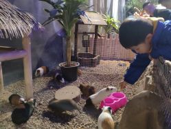 -酷嗒动物文化乐园(cutezoo西溪乐天城店)