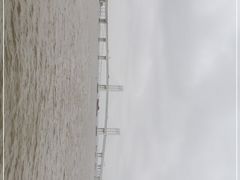 -澳门环岛游湾仔码头