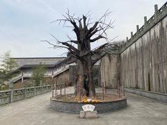 -南京市江宁方山