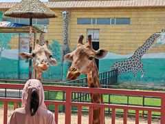 -鄂尔多斯野生动物园