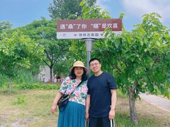 -御林古桑园
