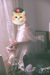 -WAVE SODA摄影工作室