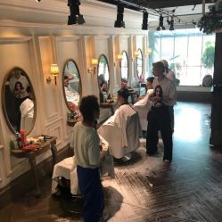 点击看大图 -金棕榈