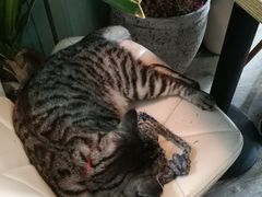-小时光咖啡馆(北锣鼓巷店)