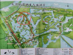 -盐城丹顶鹤湿地生态旅游区
