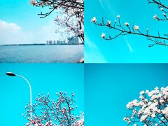 -阳澄湖半岛旅游度假区