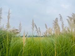 -中国天府农业博览园