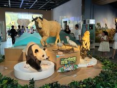 -陕西自然博物馆