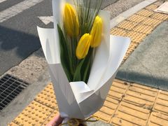 -金北顺大锅家(신사본점)