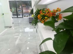 -莱可美科技美肤