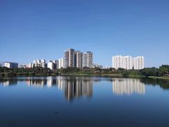 -广东花都湖国家湿地公园