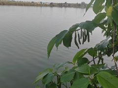 -天下先生态园农庄CS团建露营地(海鸥岛店)