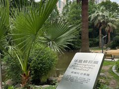 -苏州河梦清园环保主题公园